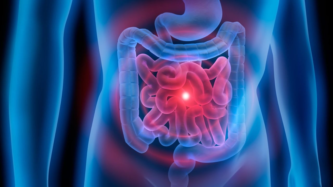 Diarreia no verão: como essa estação pode influenciar na saúde intestinal?